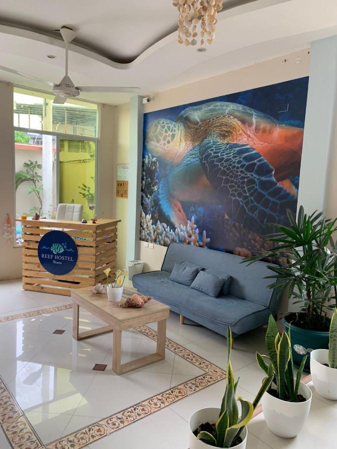 Reef Hostel 만타 외부 사진